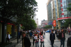 Chuntsin-1001