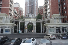 Chuntsin-291