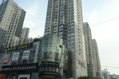 Chuntsin-331