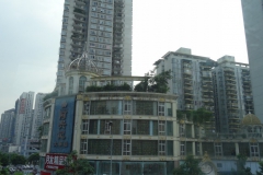 Chuntsin-361