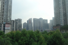 Chuntsin-371
