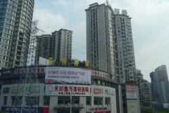 Chuntsin-381