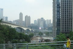 Chuntsin-531