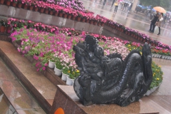 Chuntsin-821