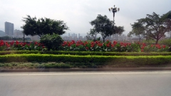 1_Lun-ian-28