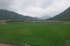 Shenjen-8